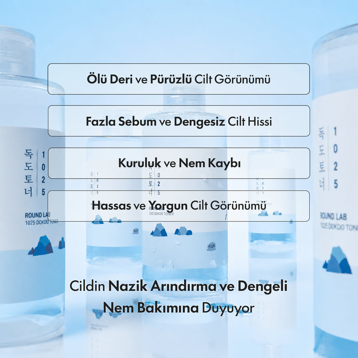 Round Lab - 1025 Dokdo Toner 200 ml
