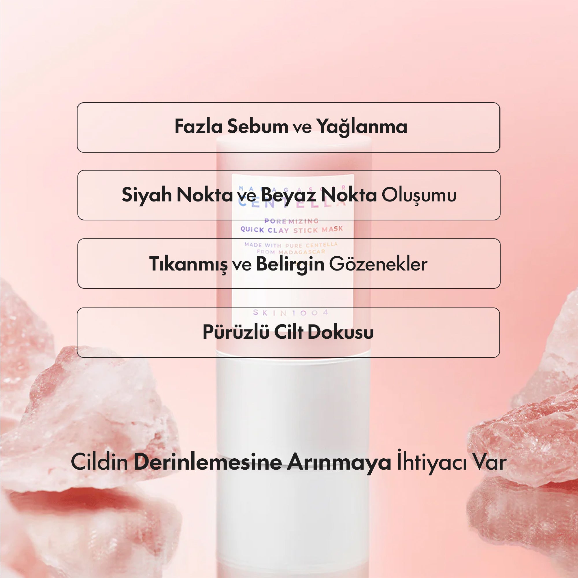 SKIN 1004 - Centella Poremizing Quick Clay Stick Maske 27 g