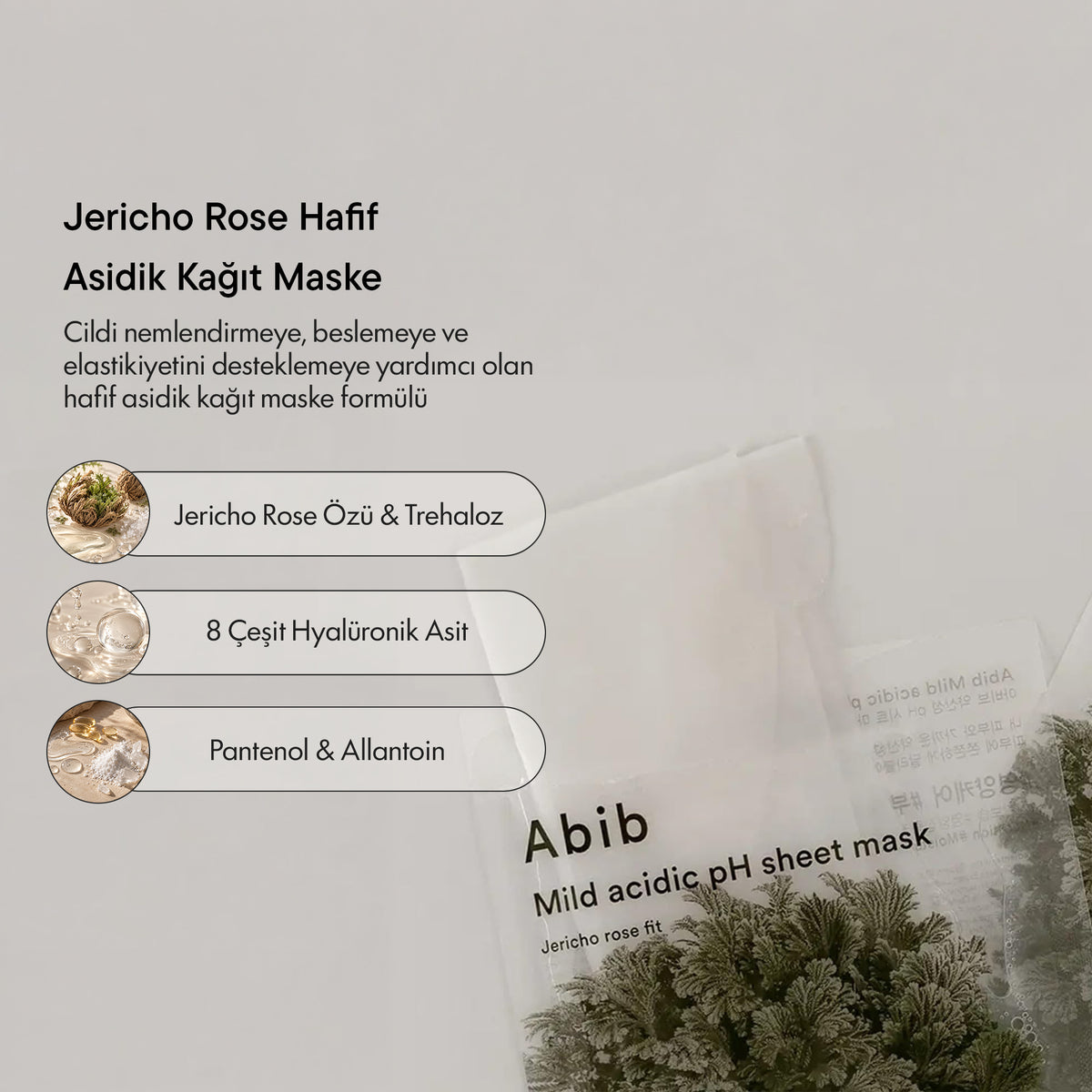 Abib - Mild Acidic Ph Jericho Rose Fit Maske