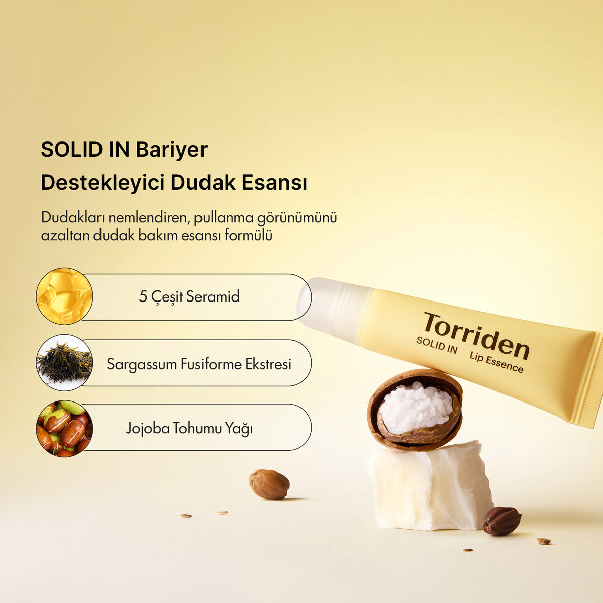 Torriden - SOLID IN Lip Essence 11 ml