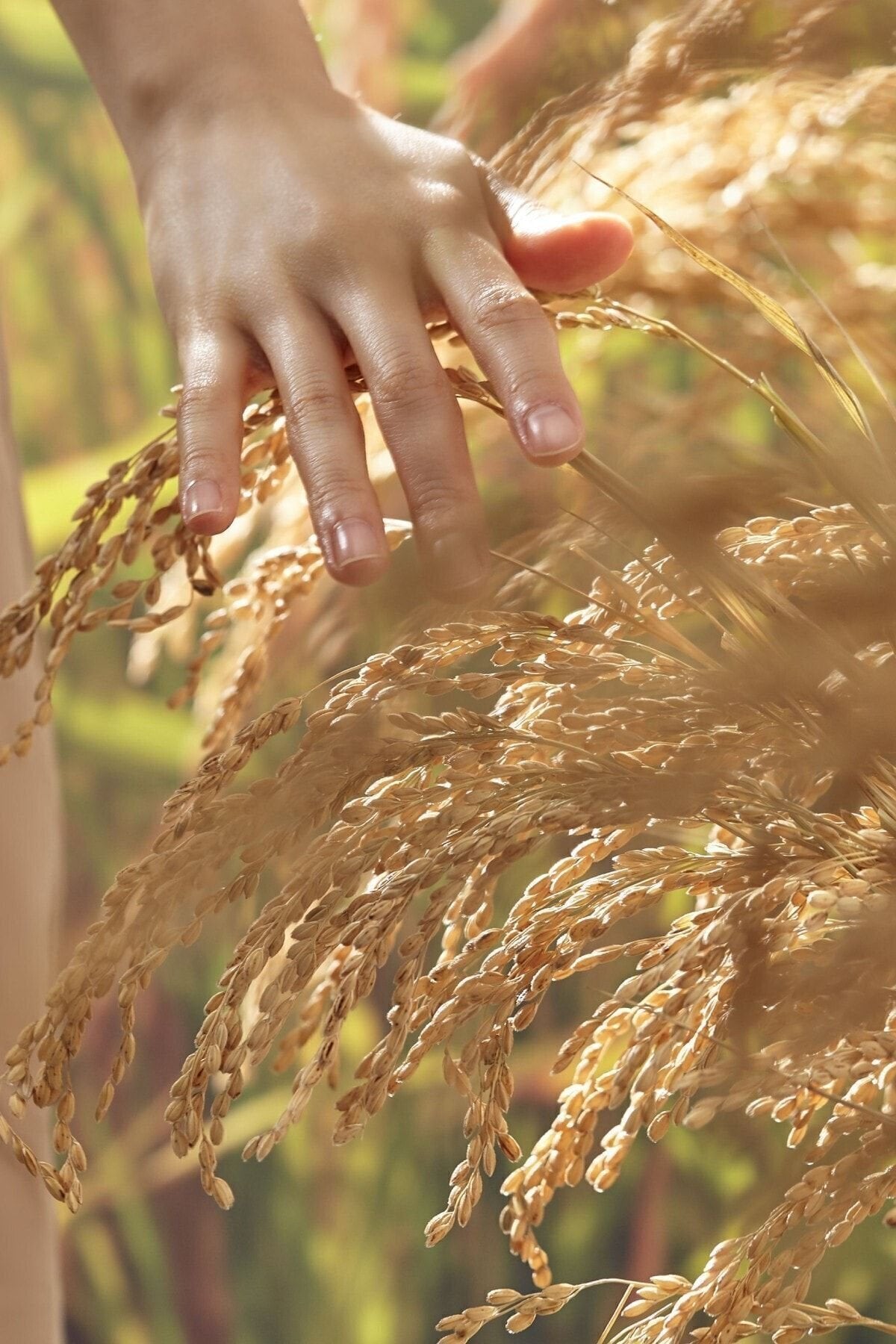 I'M FROM - Rice Toner Aydınlatıcı Pirinçli Tonik 150 ml
