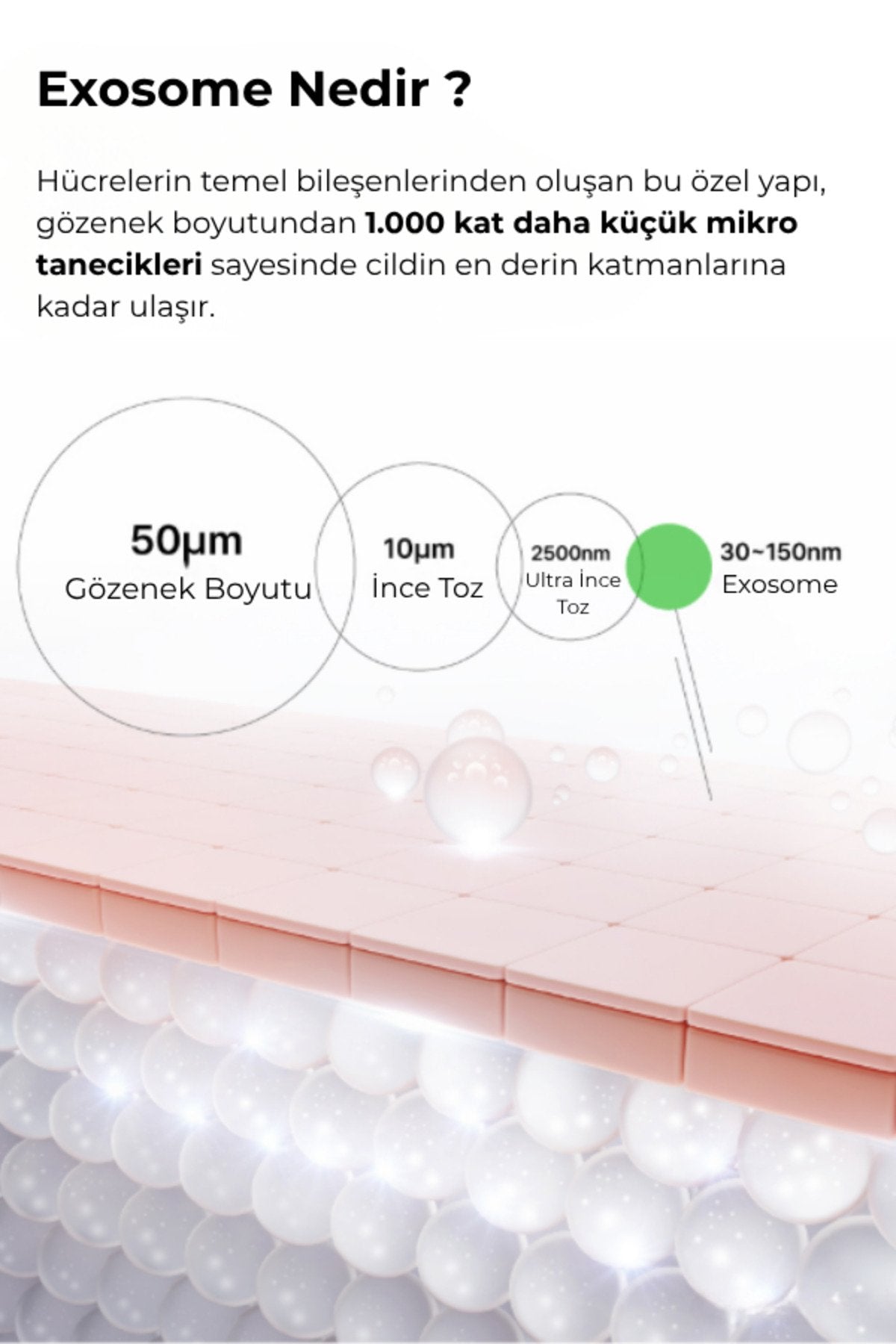 IZEZE - PDRN Bakım Seti